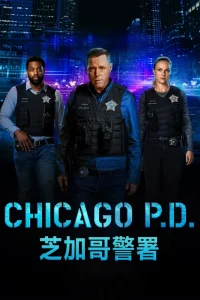 《芝加哥警署》2014年剧集评分8.1，热度285，看完我给导演寄刀片 | TV168影视库